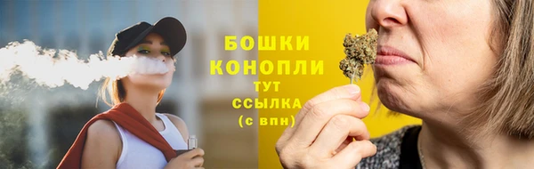 индика Вязьма