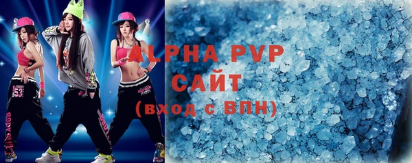 индика Вязьма