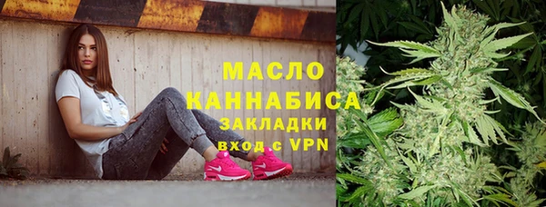 индика Вязьма