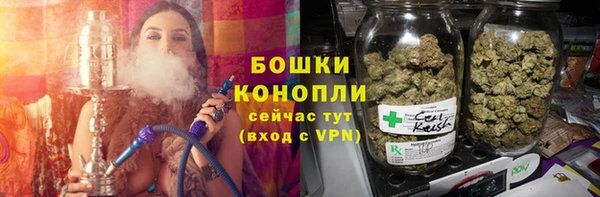 тгк Вяземский