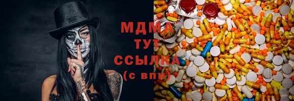 индика Вязьма