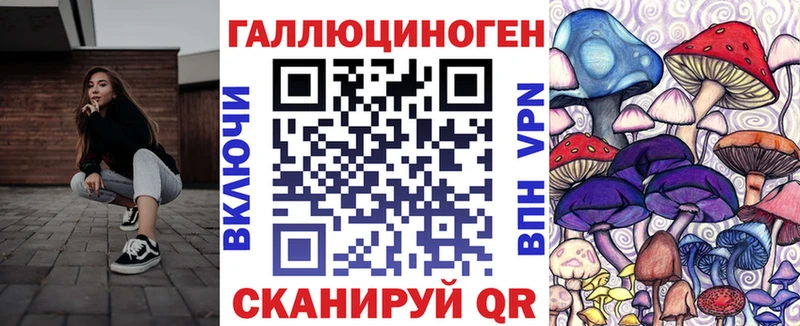 Псилоцибиновые грибы Psilocybe  Зеленогорск 